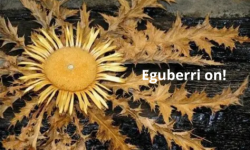 Eguberri on!🎄🎇